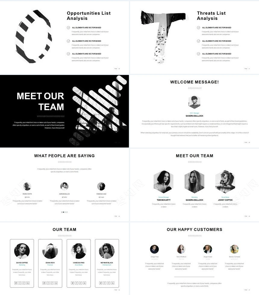 北欧高端品牌宣传项目策划PPT模板