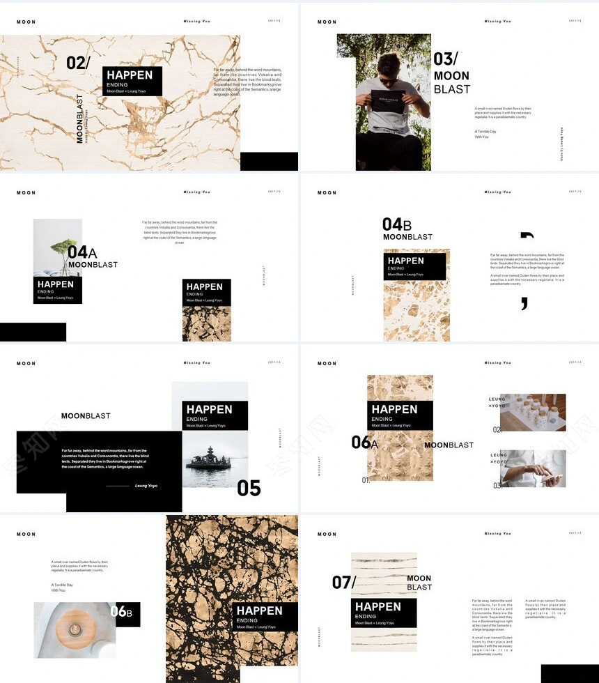 高端品牌宣传艺术风PPT模板