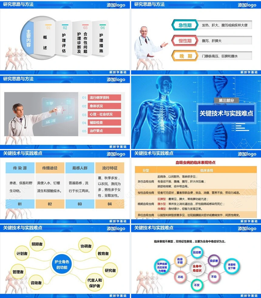 解剖学学术报告工作计划指标汇报总结汇报年度总结