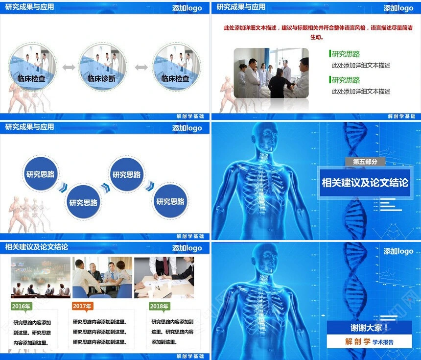 解剖学学术报告工作计划指标汇报总结汇报年度总结