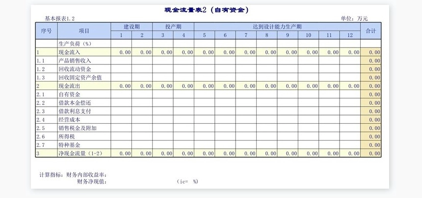 企业建设项目报表
