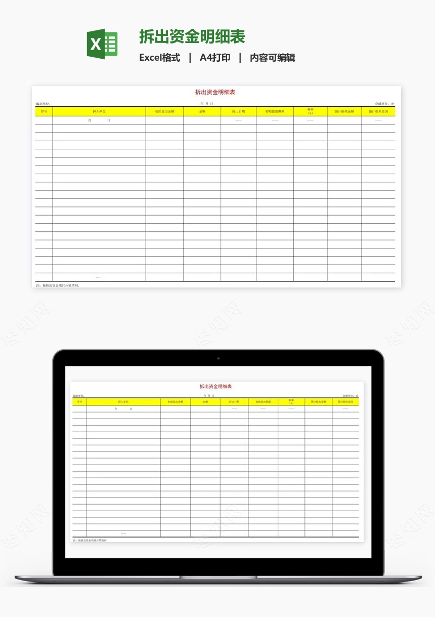 拆出资金明细表