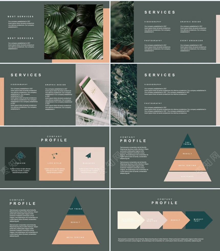 莫兰迪风格通用PPT模板(61)