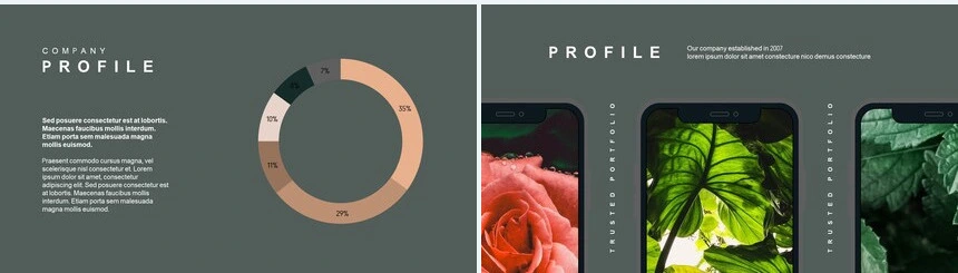 莫兰迪风格通用PPT模板(61)