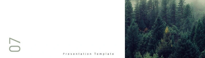 莫兰迪风格通用PPT模板(67)